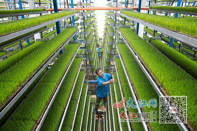 興農(nóng)·富民 技術(shù)推廣服務(wù)的引擎與橋梁